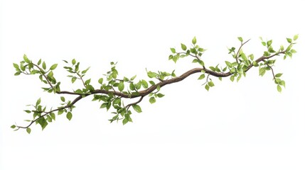 Green Branch with Leaves.
