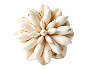 Elegant 3D Render of a White Marble Flower