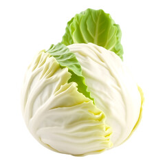 Fresh, whole head of white cabbage isolated on a transparent background