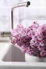 Beautiful lilac flowers in kitchen sink indoors, closeup