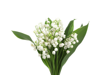 Bouquet of beautiful lily of the valley flowers isolated on white
