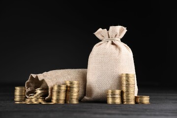 Bags and stacked coins on dark background