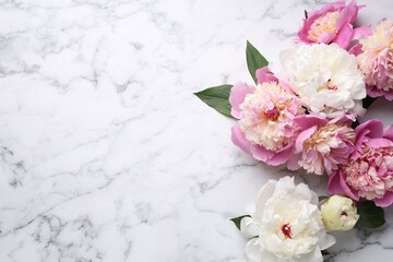 Beautiful peonies and green leaves on white marble table, flat lay. Space for text