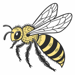 "Bee – Flying Insect Vector Illustration"

