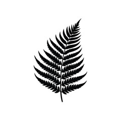 Fern Leaf Vector Silhouette Curling Green