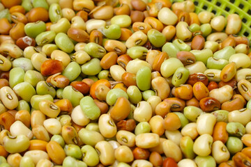 Pattern of multi-colored beans, close-up of several green, red, yellow, and orange beans
