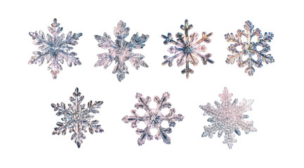 Stunning collection of iridescent snowflakes isolated on perfect for winter holiday designs and festive projects beautiful delicate crystal snowflake on transparent background ice
