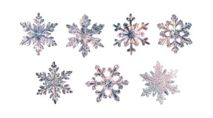 Stunning collection of iridescent snowflakes isolated on perfect for winter holiday designs and festive projects beautiful delicate crystal snowflake on transparent background ice