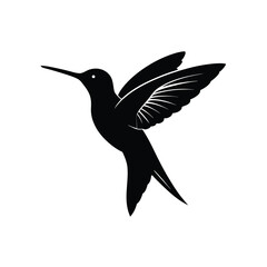 Obraz premium Hummingbird Flight Vector Silhouette Vibrant
