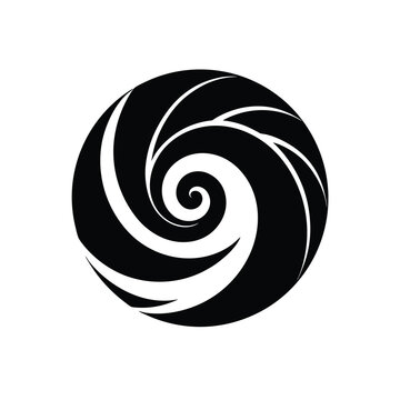 Koru Spiral Vector Silhouette Oceanic Flow