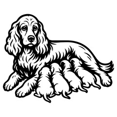 Fototapeta premium Vector image of a cocker spaniel dog mom nursing her puppies, detailed black and white design