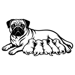 Pug dog mom. Vector illustration of a pug mother dog with her puppies. Black and white line art style
