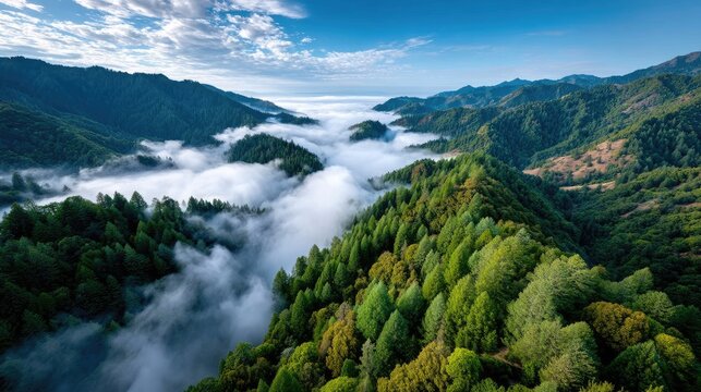 Mountainous landscape with foggy valleys