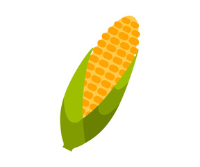 Corn vector illustration
