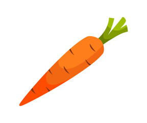 Carrot vector illustration. flat design
