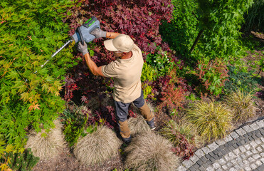 Gardener Trimming Vibrant Foliage in a Landscaped Garden During Sunlight Hours