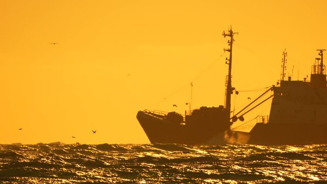 Fishing Sunset Birds: Silhouette of trawler sailing on wavy sea at sunset for fishing.