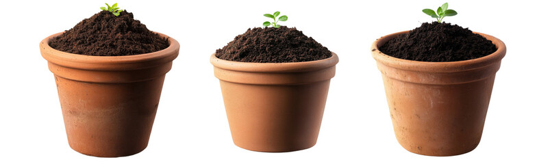 seedlings in clay pots on isolated background