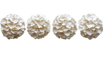 white hydrangea flower balls on white background
