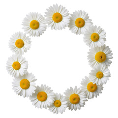 Fototapeta premium Daisy flower wreath – on a transparent background
