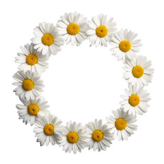 Fototapeta premium Daisy flower wreath – on a transparent background