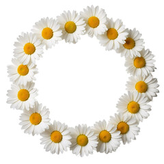 Fototapeta premium Daisy flower wreath – on a transparent background