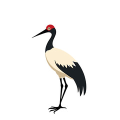 Obraz premium Elegant Red-Crowned Crane Illustration with Black and White Plumage Standing Gracefully on a White Background