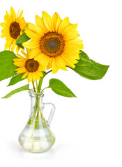Bouquet of sunflower flower in glass vase. Isolated on white background. Natural flowers.