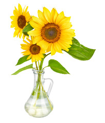 Bouquet of sunflower flower in glass vase. Isolated. Natural flowers. PNG.