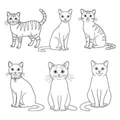 Fototapeta premium One line kitties that never stop. Hand-drawn line art vector illustration set cat outlines, several cat stances, and kitten activities, cat lover