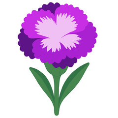 A vibrant digital illustration of a purple dianthus flower with layered petals and lush green leaves.