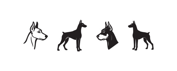 Fototapeta premium Stylized doberman silhouettes and profiles on white background.
