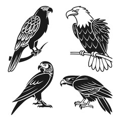 Obraz premium Black and white bird illustrations parrot eagle hawk