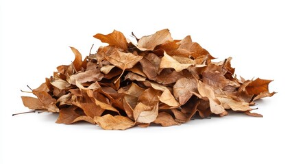 Fototapeta premium Pile of Dried Autumn Leaves. (1)
