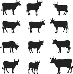 Collection of cow and bull silhouettes vector illustration for farm animal and livestock themed designs