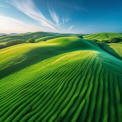 Rolling Green Hills Under a Bright Blue Sky - An Aerial View of Lush Farmland