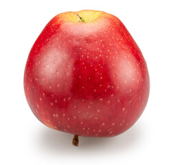 Red ripe apple on white background, back bottom view. File contains clipping path.