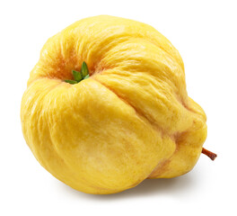 Quince bottom view isolated on white background. File contains clipping path.