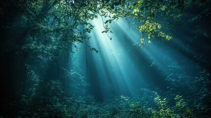 Obraz premium Sunlight streaming through abandoned building with overgrown plants in urban decay