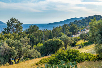 Winding road leading to the peninsula of Kas, Turkey, surrounded by lush green hills and olive...