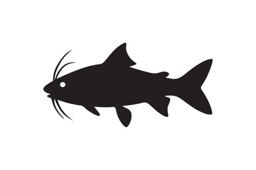 Fototapeta premium Yellowtail Catfish silhouette on white background.01