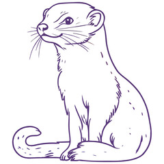 ferret, animal, vector, transparent background, creature, mustela putorius furo, cute, mammal, isolated, wildlife, one animal, nature, furry, vertebrate