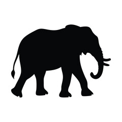 Fototapeta premium elephant black vector silhouette