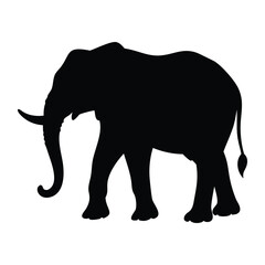 Obraz premium elephant black vector silhouette