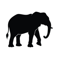 Fototapeta premium elephant black vector silhouette