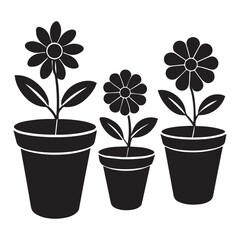 flower in pot leaf, nature, isolated, growth, tree, 