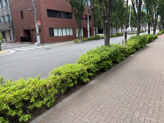 神田錦町の景色