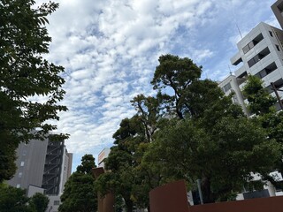 神田錦町の景色