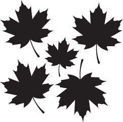 Obraz premium Maple Leaf Silhouette Vector – Autumn & Canadian ThemeStylized Maple Leaf Clipart – Fall Season DecorationMinimal Maple Leaf Icon for Nature & Forest DesignsCanadian Maple Leaf Emblem – SVG, PNG
