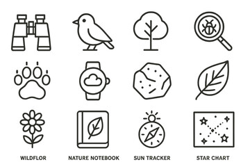 Nature-themed icon set with binoculars, bird, and tree illustrations